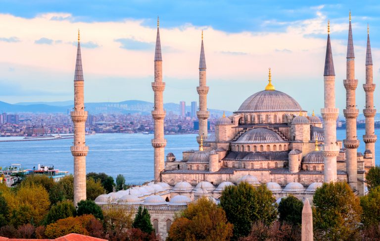Viral: Turquía anunció que cambiará su nombre porque en el buscador aparece un pavo