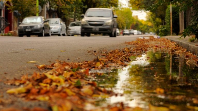 Llegó el otoño ¿qué es el equinoccio y por qué este año fue el 20 de marzo y no el 21?