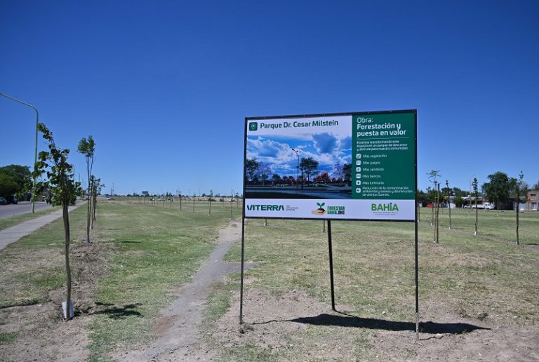 Cómo se desarrolla la plantación de árboles en el nuevo Parque César Milstein