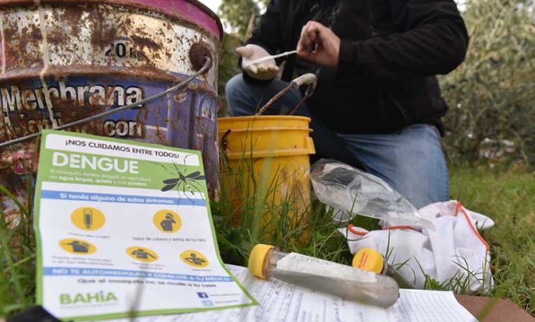 Información sobre la prevención del Dengue